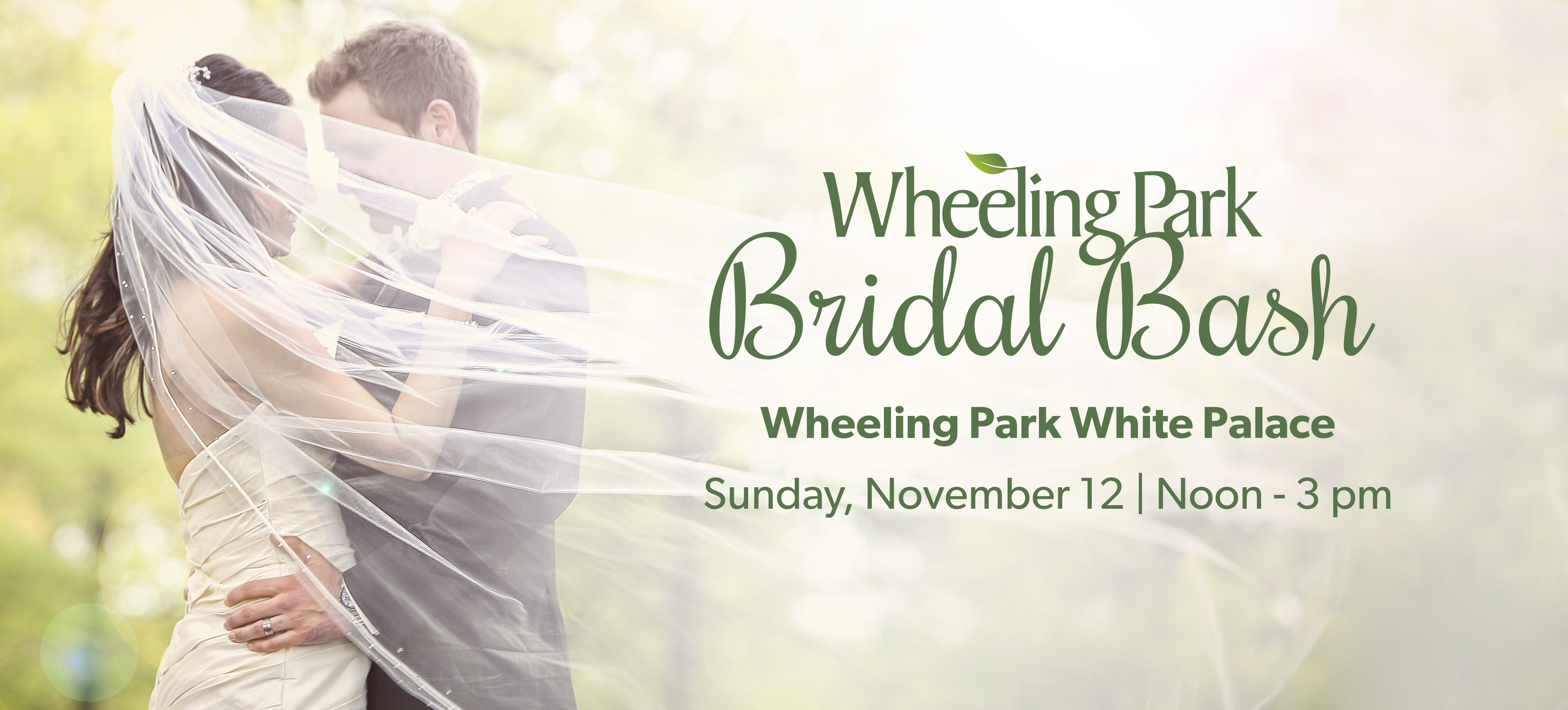 Wheeling Park Bridal Bash header photo
