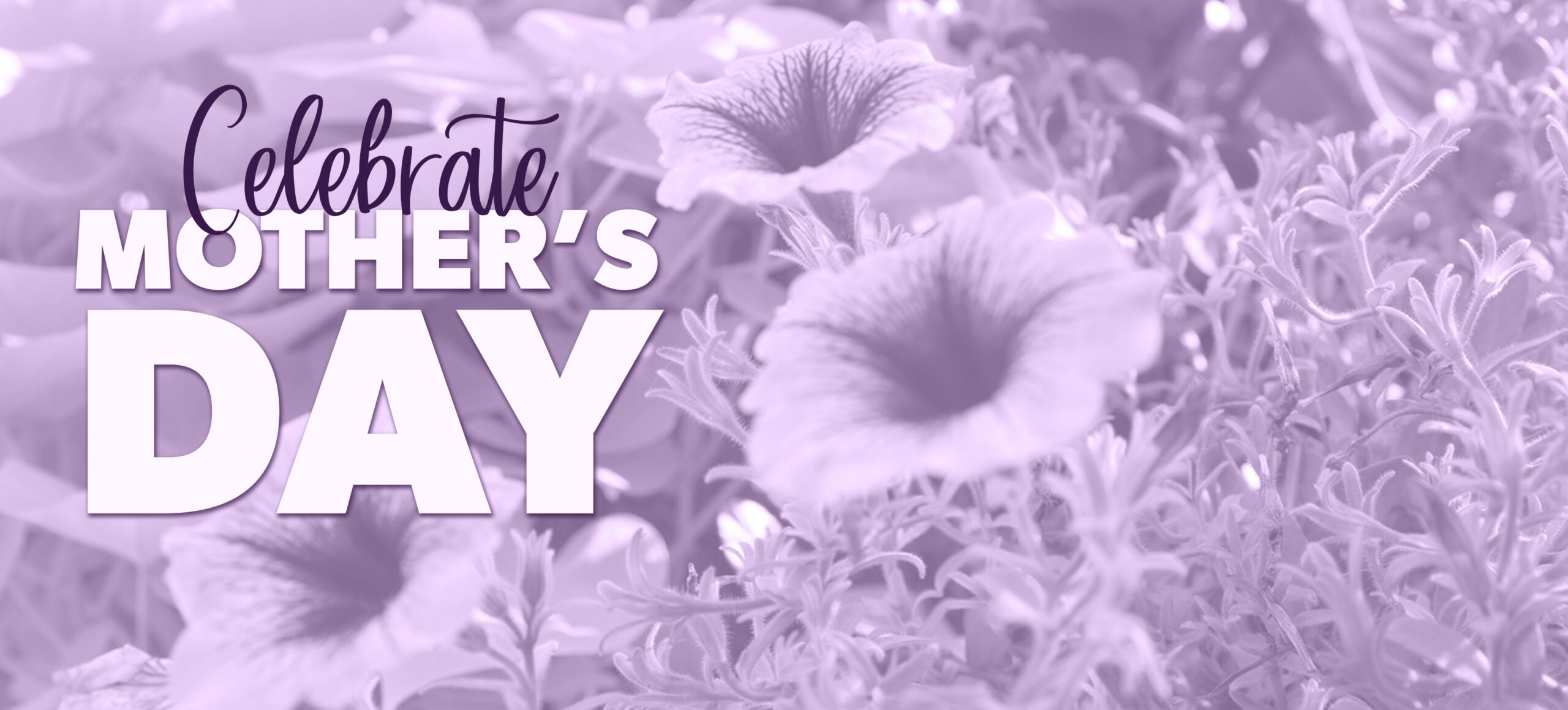 Celebrate Mother’s Day header photo