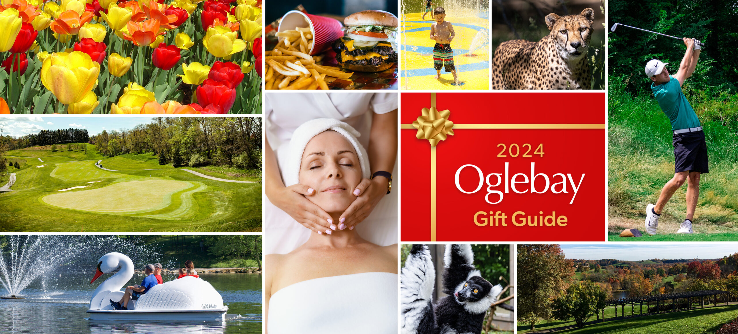 Holiday Gift Guide header photo